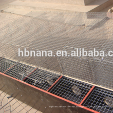 Professional hot dipped galvanized iron mink cage with wooden box